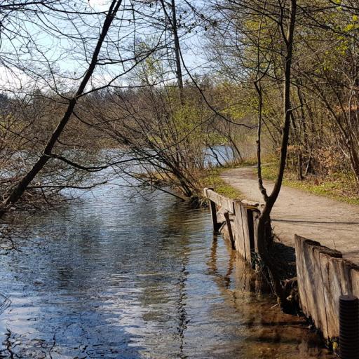Rund um den Husemersee yld